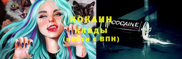 трава Карпинск