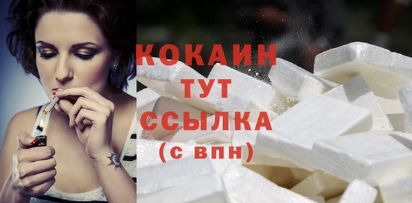 гидра Корсаков
