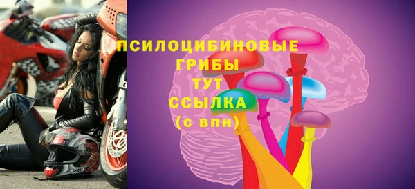 гидра Корсаков