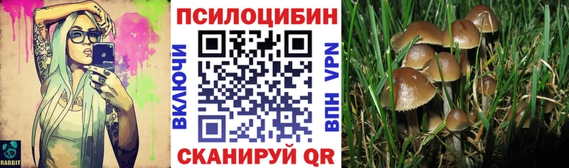 Псилоцибиновые грибы Magic Shrooms  Кораблино 